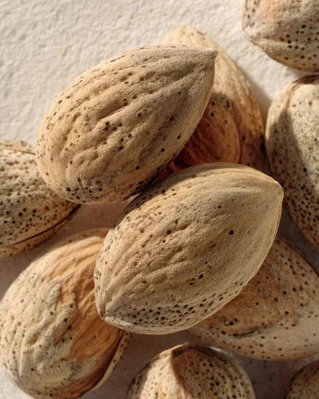 Amandier 'Princesse' - 1/2 tige - H.175/200cm - Pot de 15 litres