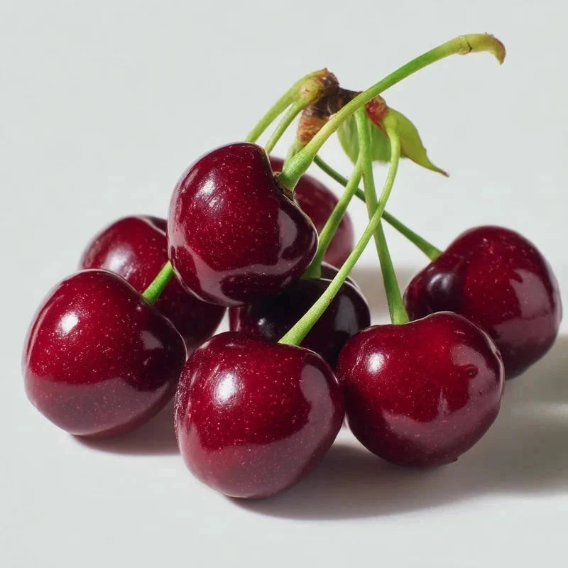 Cerisier bigarreau 'Burlat' - Gobelet - H.125/150cm - Pot de 12 litres - Image 2