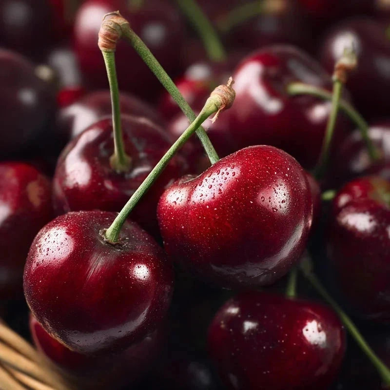 Cerisier bigarreau 'Hatif Delbard' - Gobelet - H.125/150cm - Pot de 12 litres