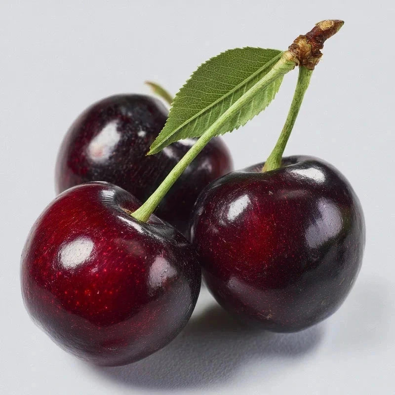 Cerisier bigarreau 'Hedelfingen' - 1/2 tige - H.175/200cm - Pot de 12 litres