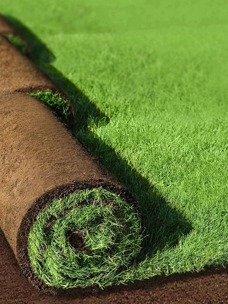 Pelouse en rouleau Premium - Surface 120 M2