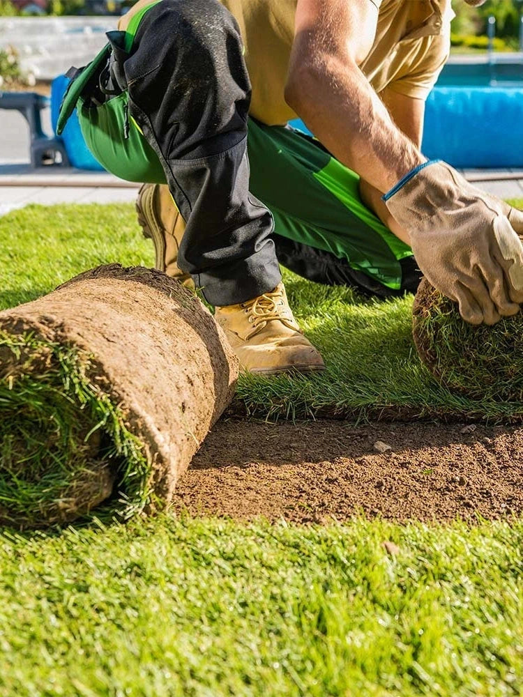 Pelouse en rouleau Premium - Surface 140 M2 - Image 6