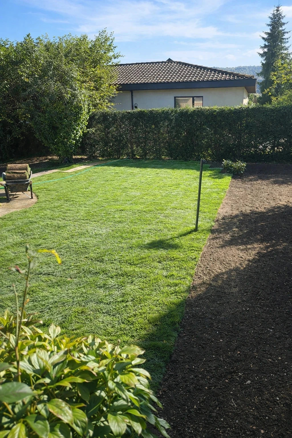 Pelouse en rouleau Premium - Surface 140 M2 - Image 11