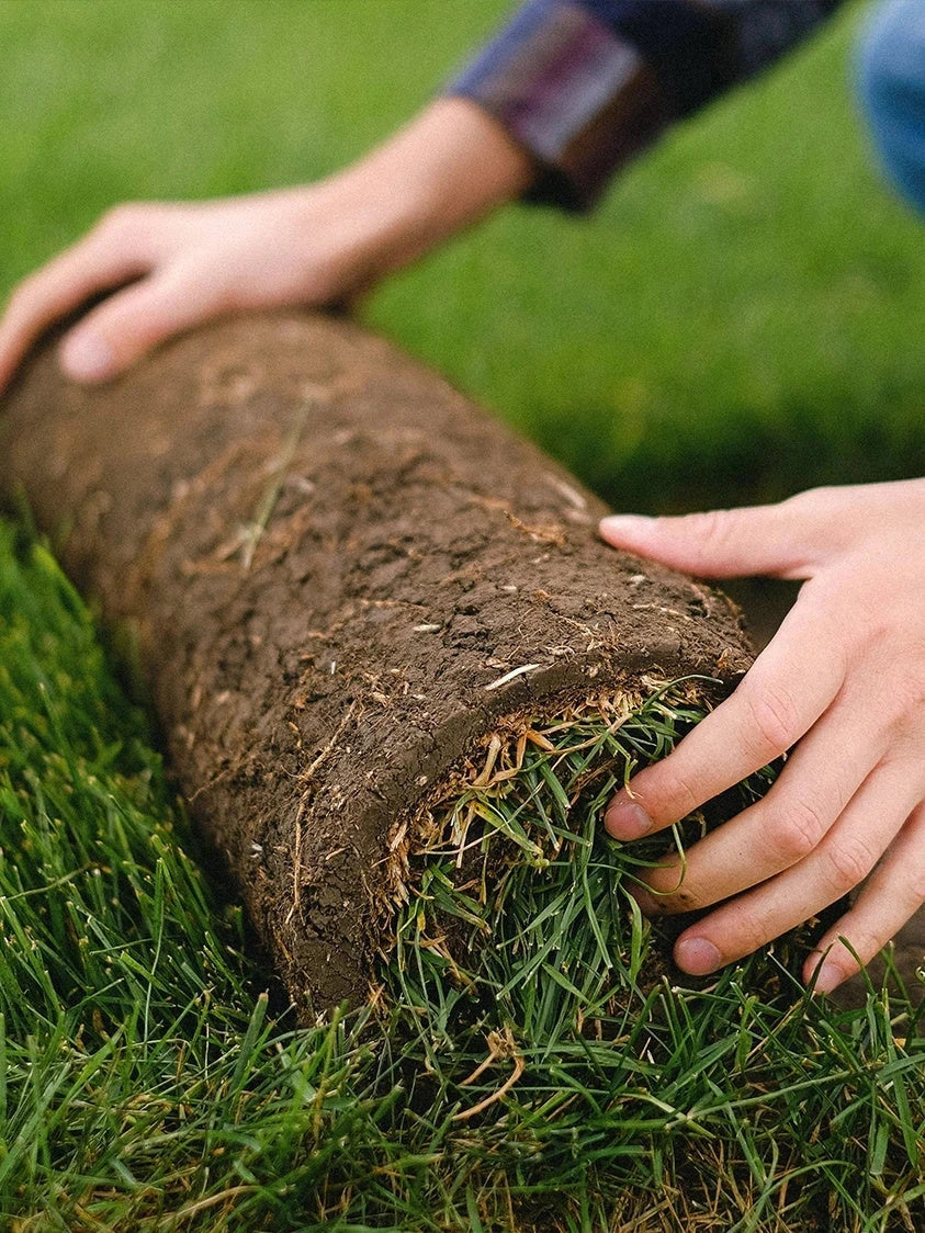 Pelouse en rouleau Premium - Surface 40 M2 - Image 2