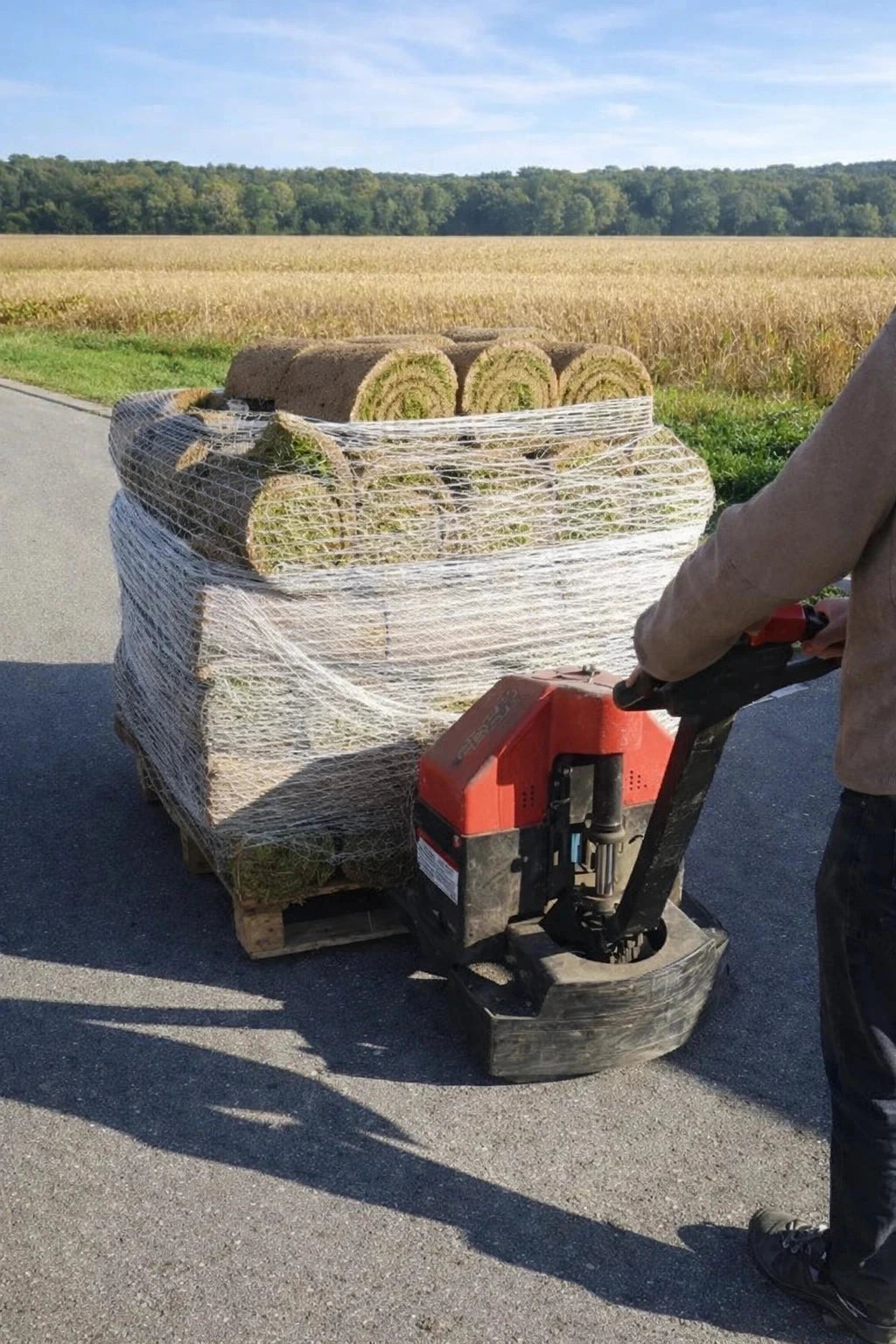 Pelouse en rouleau Premium - Surface 40 M2 - Image 10