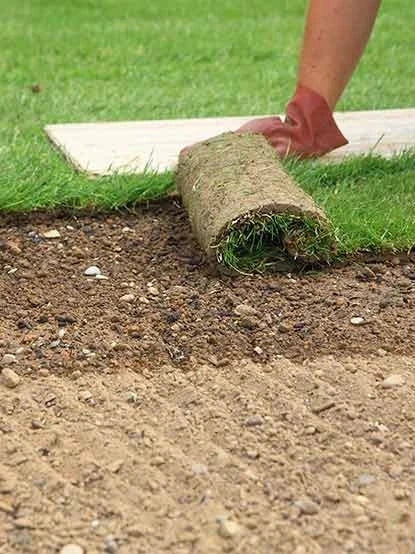 Pelouse en rouleau Premium - Surface 75 M2 - Image 13