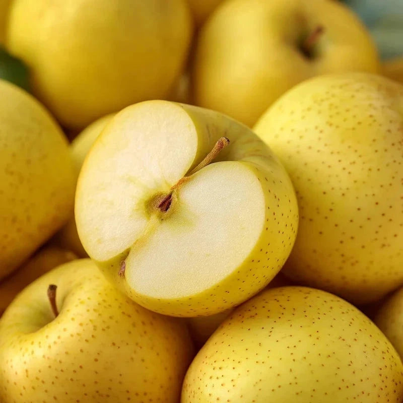 Pommier 'Golden delicious' - 1/2 tige - H.175/200cm - Pot de 15 litres - Image 4