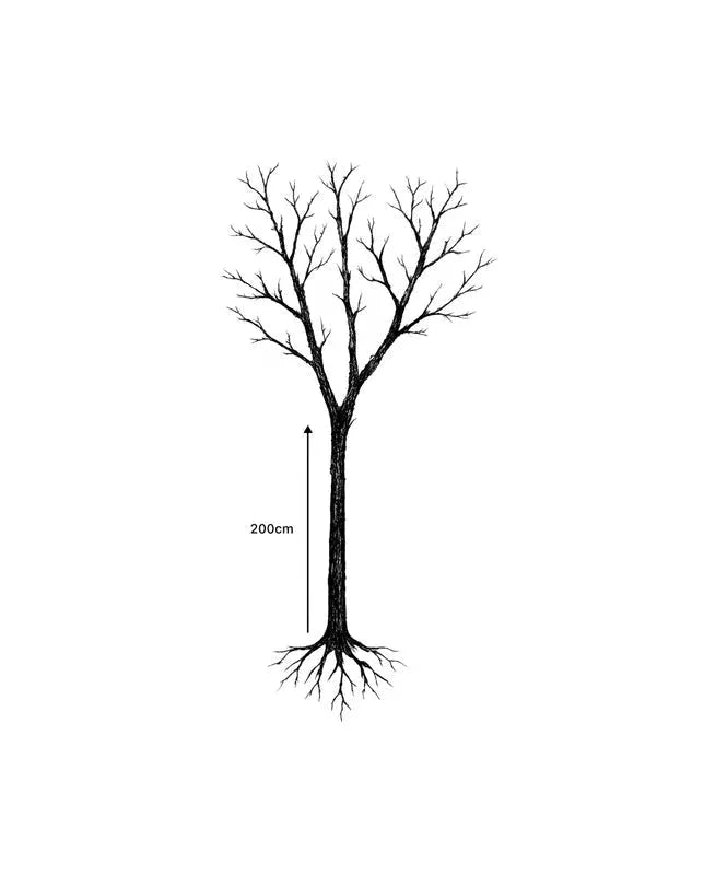 Saule pleureur 'Tristis' - Tige 10/12cm - H.250/300cm - Pot de 30 litres - Image 4